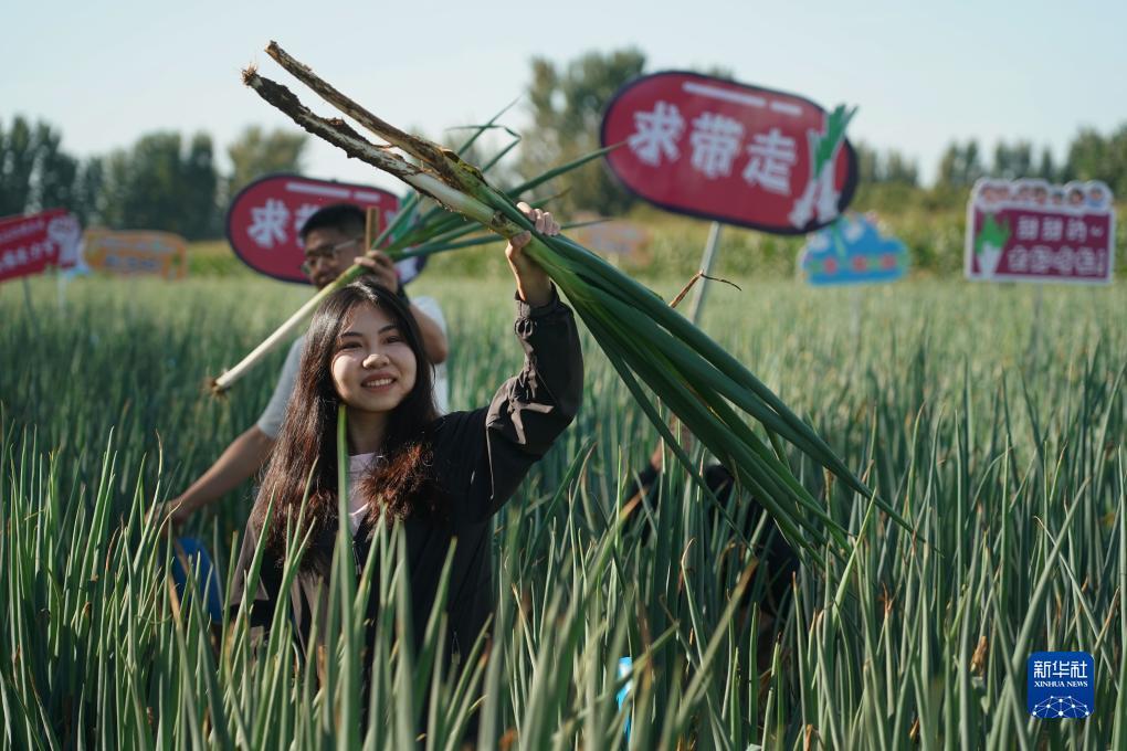 捕鱼达人之海底狩猎